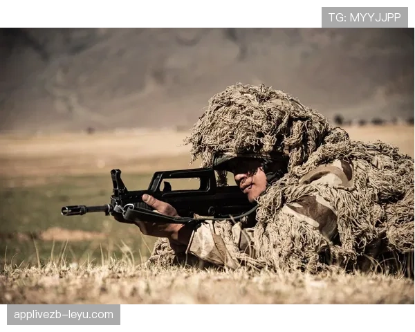雷吉纳反击效率飙升，战术调整成效显著