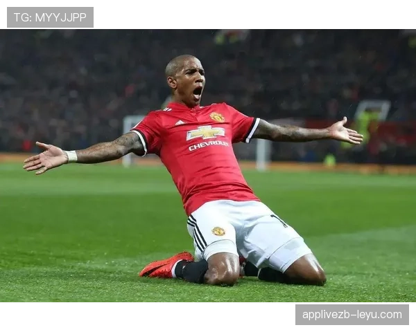 阿什利·扬职业生涯回顾：从英超闪耀到国际赛场的辉煌与挑战