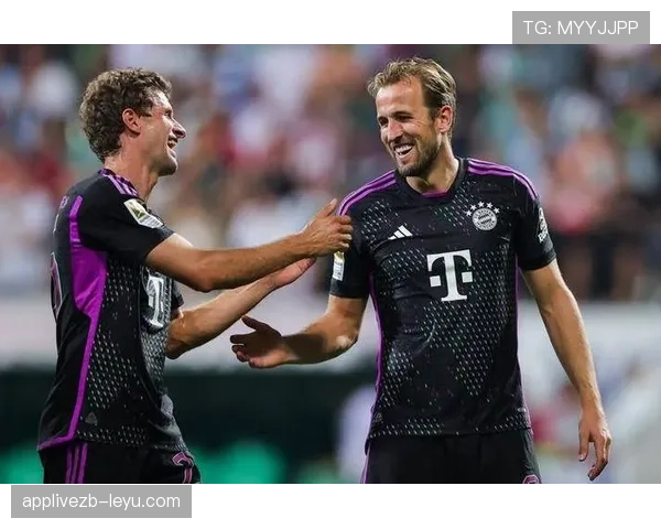 德甲球队主场不败纪录延续，状态回暖士气高涨