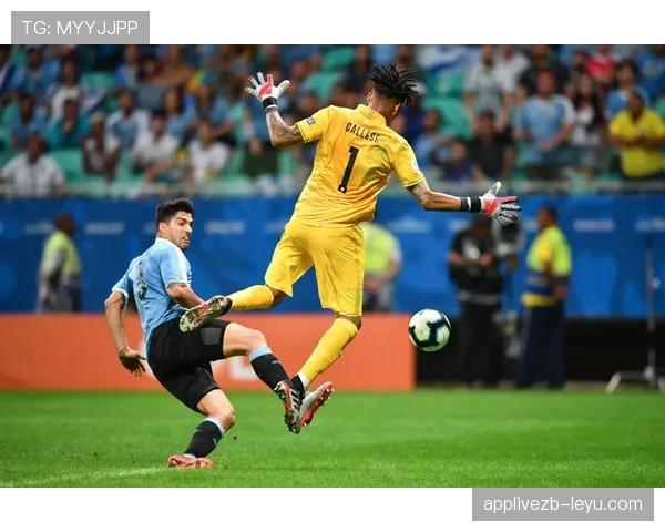 秘鲁队强势崛起，未来赛事前景备受瞩目