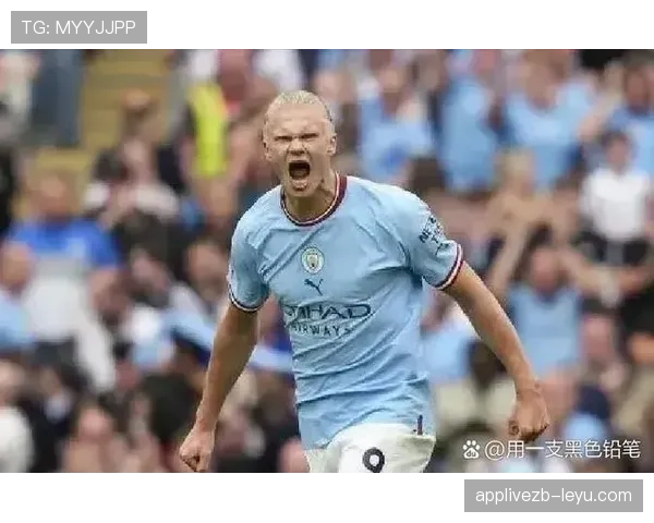 伊萨克与哈兰德:技术型中锋vs效率型射手对比解析 伊萨克与哈兰德:技术型中锋vs效率型射手对比解析